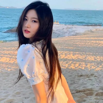 献给阿尔吉侬的花束